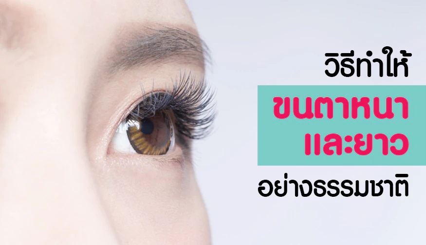 วิธีแก้ขนตาบาง -cosmeticsth